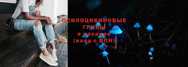 ГАЛЛЮЦИНОГЕННЫЕ ГРИБЫ Балахна