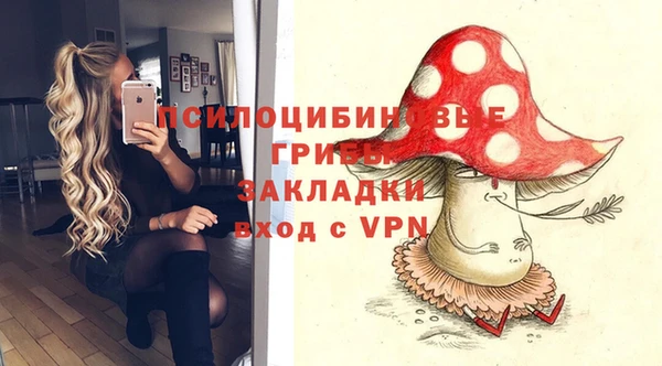 ГАЛЛЮЦИНОГЕННЫЕ ГРИБЫ Балахна
