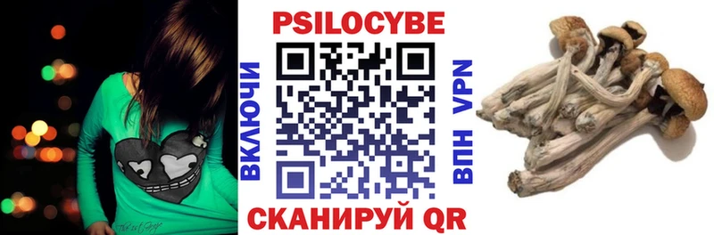 цена   Кущёвская  Псилоцибиновые грибы Psilocybine cubensis 